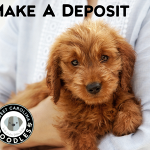 Make a deposit on your doodle today!